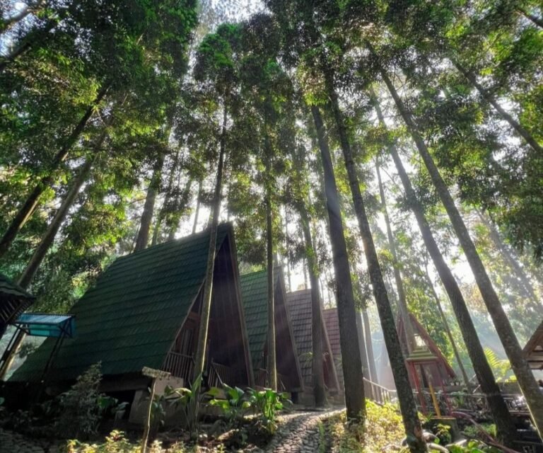 wonderful citamiang bogor3 768x640