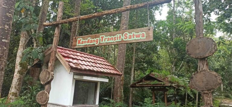 bukit tangkiling5 768x355