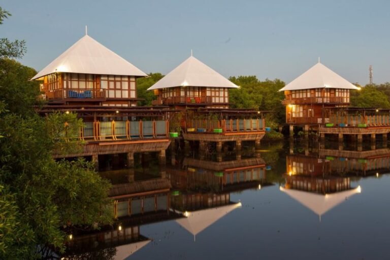 ekowisata mangrove bjbr probolinggo5 768x512