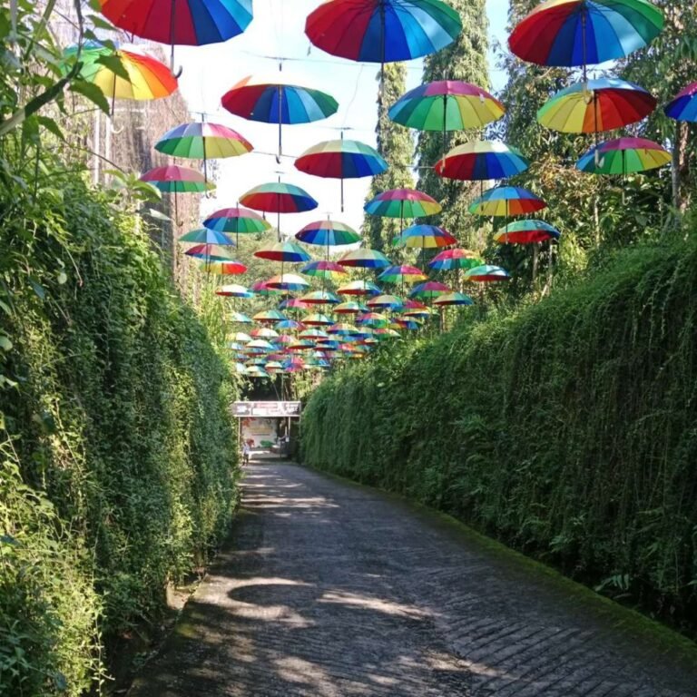 taman botani sukorambi jember6 768x768