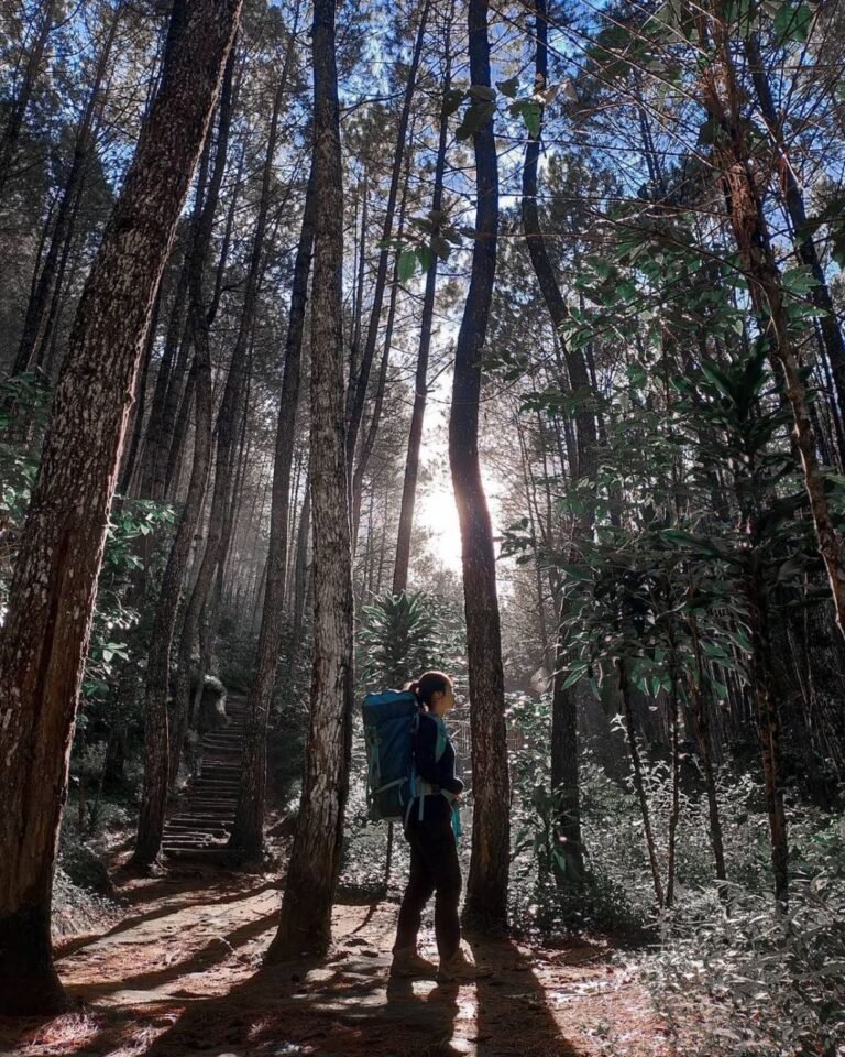 wisata karacak valley garut4 768x960