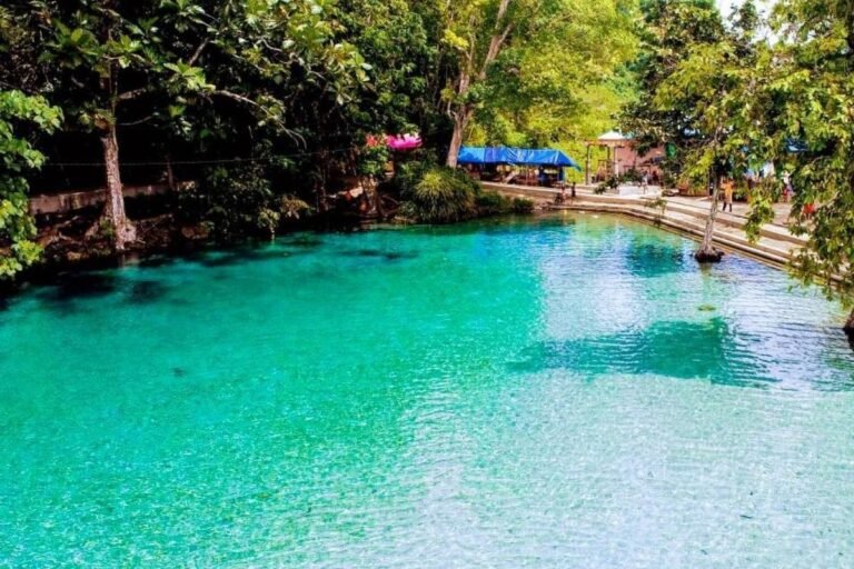 67a565d638bc4 1 768x512