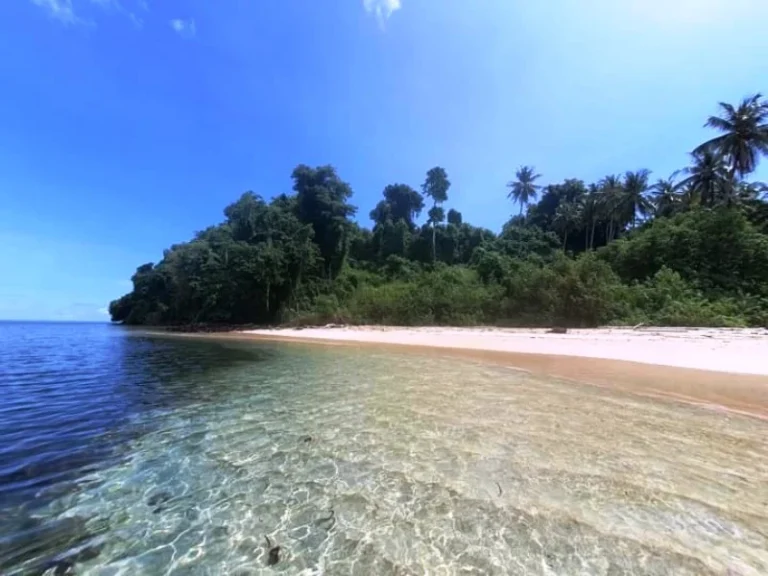 9adbf pulau pondang 768x576