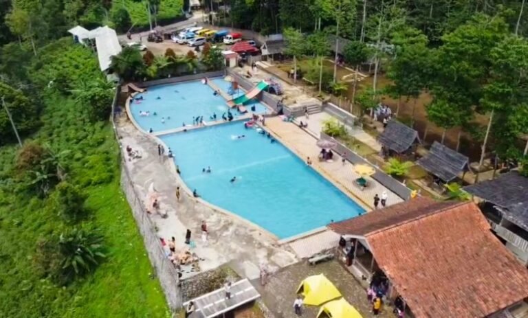 img 20241229 174039 780x470 1 768x463