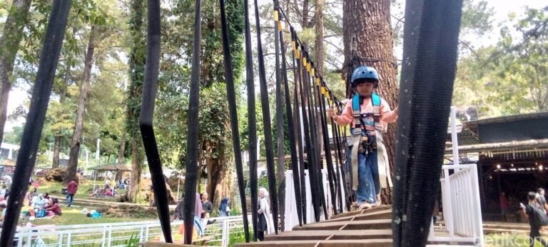 objek wisata woodland kuningan jadi tempat favorit wisatawan untuk menghabiskan waktu liburan 1 768x346