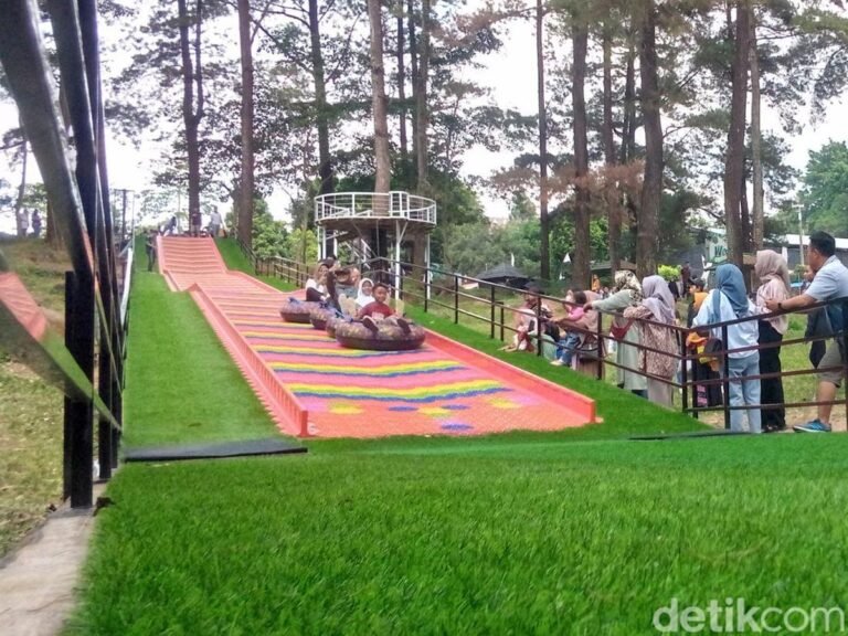 objek wisata woodland kuningan jadi tempat favorit wisatawan untuk menghabiskan waktu liburan 3 43 768x576