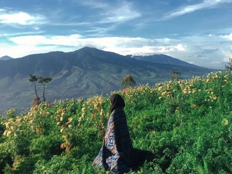 093304900 1722983731 whatsapp image 2024 08 06 at 23.56.30 768x576