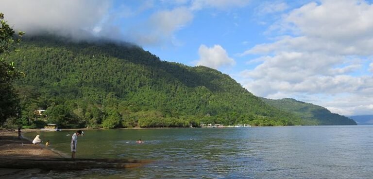 800px pantai salonsa   danau matano 768x368