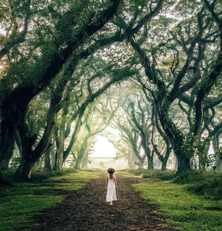 screenshot 20240530 162000 1461945939 768x801