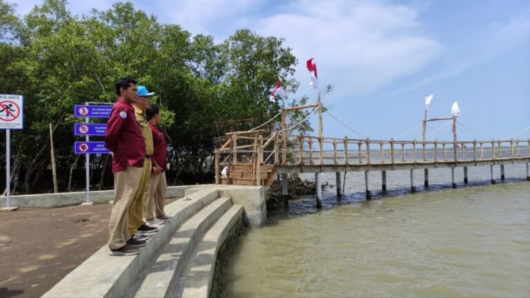 img 20221115 173640 853 1024x577 1 768x433