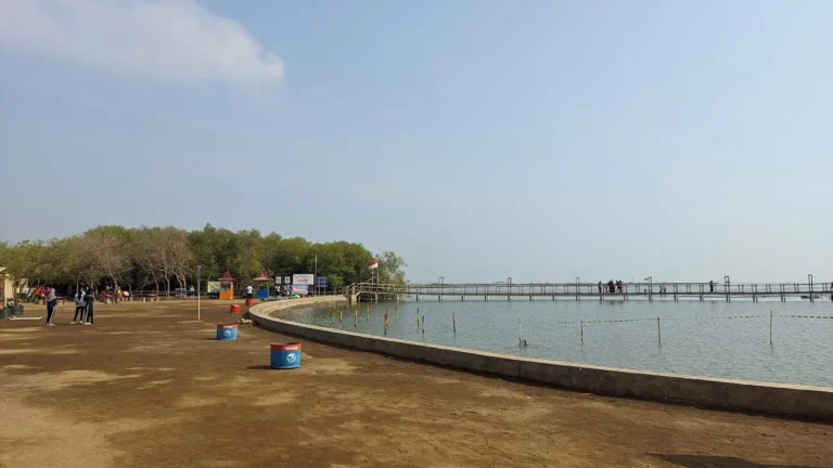 op8dkrfawkoutbv2oi9py6ndgqcyaxexdneoyynz 768x432