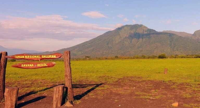 baluran 2 768x417