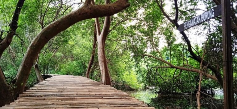 taman wisata alam angke kapuk6 768x354