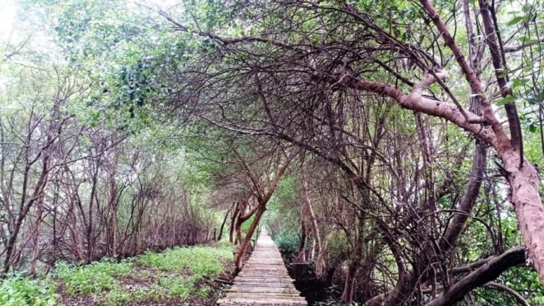 taman wisata alam angke kapuk8 768x432