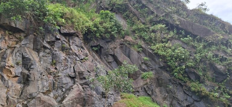 20251122 141459 768x354