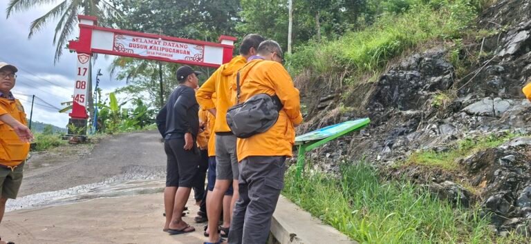 20251122 144512 768x354