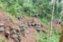 Batuan Purba — Suasana di lokasi ditemukannya batuan purba di perbukitan Igir Karem, Desa Karangjambu, Kabupaten Purbalingga, Senin (29/12/2025). (TRIBUN JATENG/Farah Anis Rahmawati)